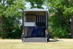 Cheval Liberte Minimax Diagonal Maxi 3-PS Van – 3 Sitze – Bild 3