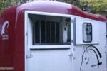 Cheval Liberte Touring Country Luxus-Pferdewagen – 2 Sitze – Bild 5
