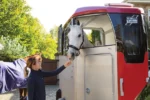 Ifor Williams HBX 506 Pferdeanhänger – 2-Sitzer – Bild 5